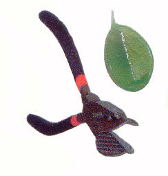 Angled Leaf Mashing Pliers w/ Veins