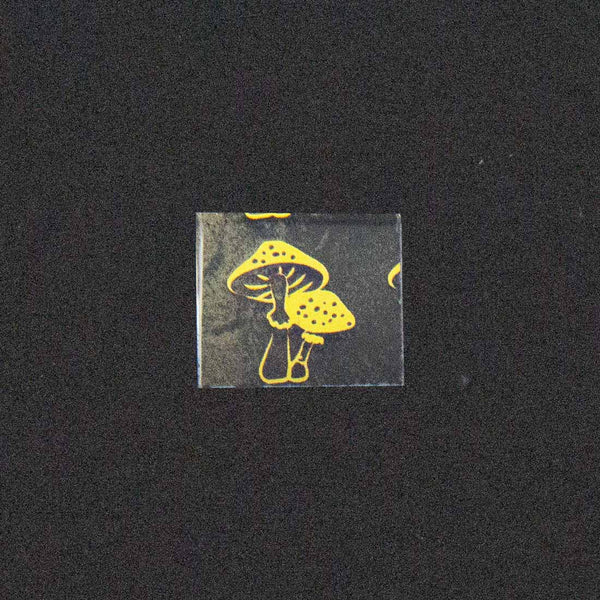 Mushroom Duo Image