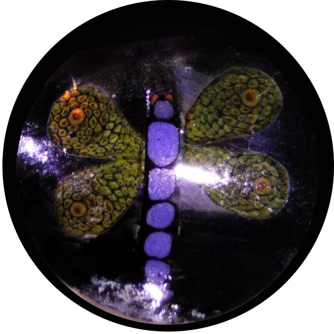 Dragonfly Milli