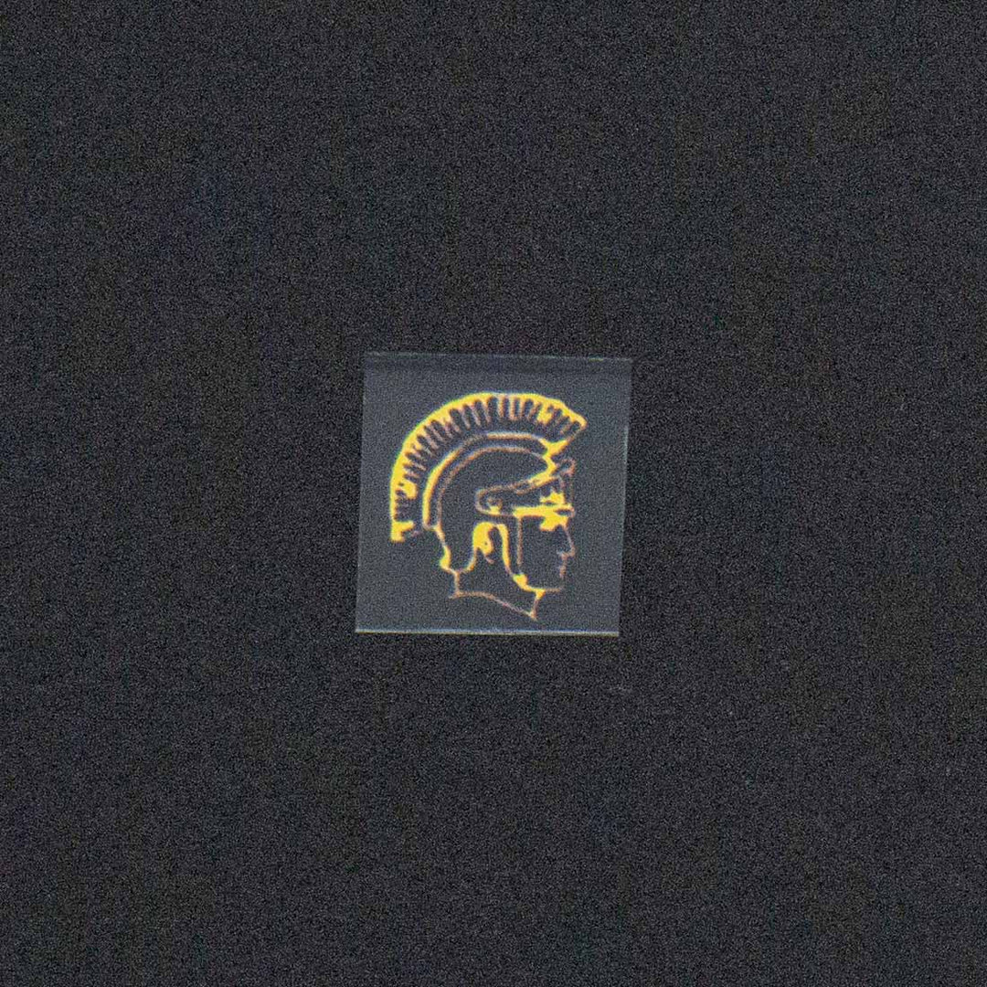 Roman Gladiator Image
