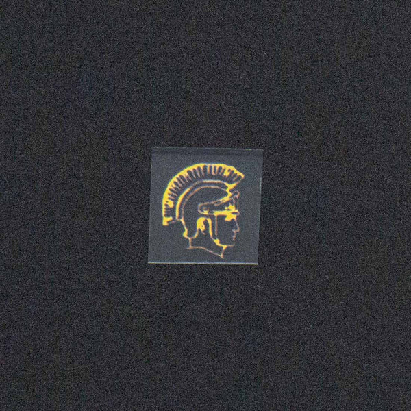 Roman Gladiator Image