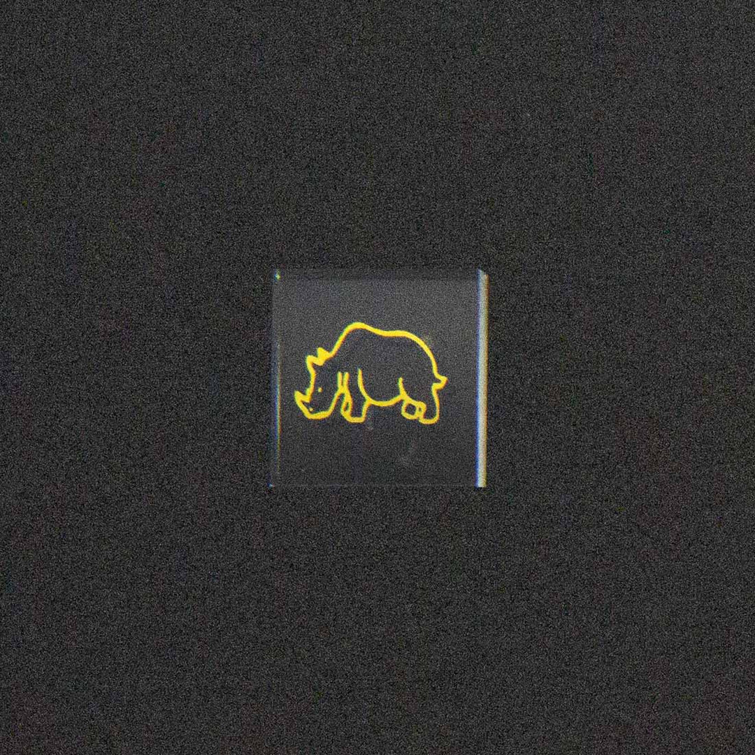 Wild Rhino Image