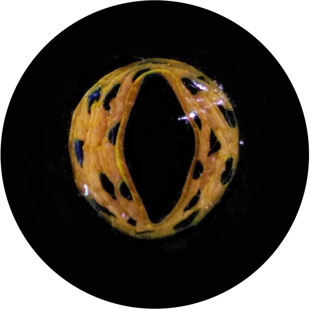 Green &amp; Yellow Reptile Eye Milli