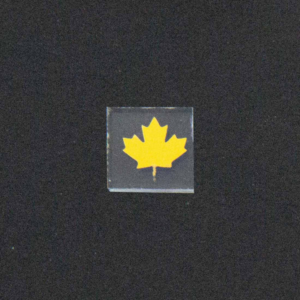 Maple Leaf Image