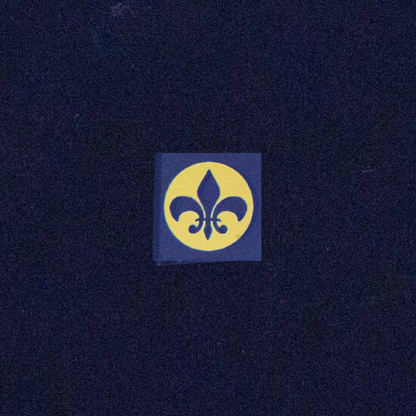 Fleur De Lis Image (Alternate)