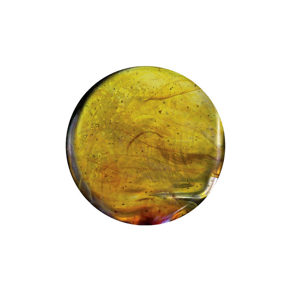 Momka Exotic Citrus Yellow Rod