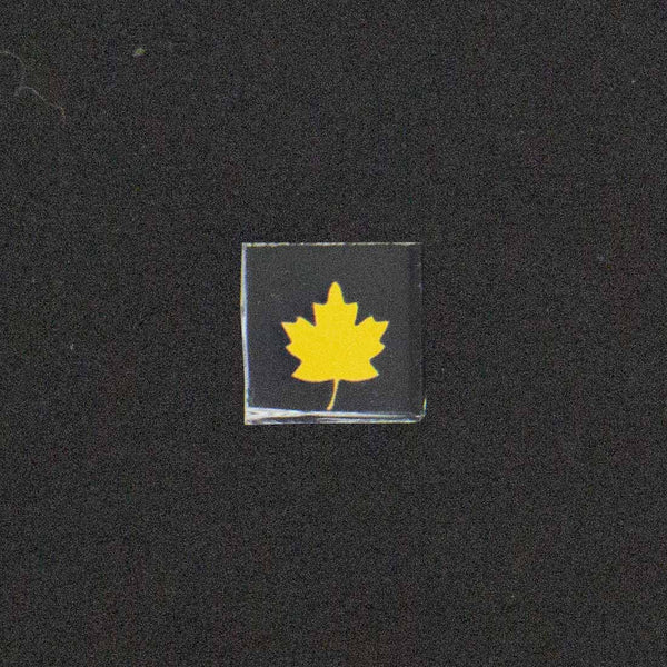 Maple Leaf Image