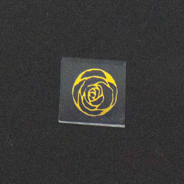 Spot-Light Rose Image