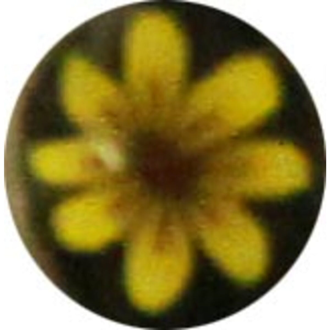 Large Dandelion Milli