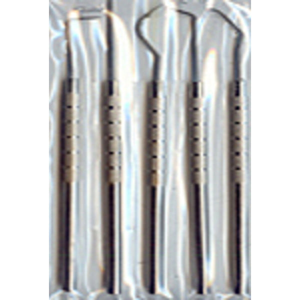 5 pc. 6" Stainless Steel Pick Set