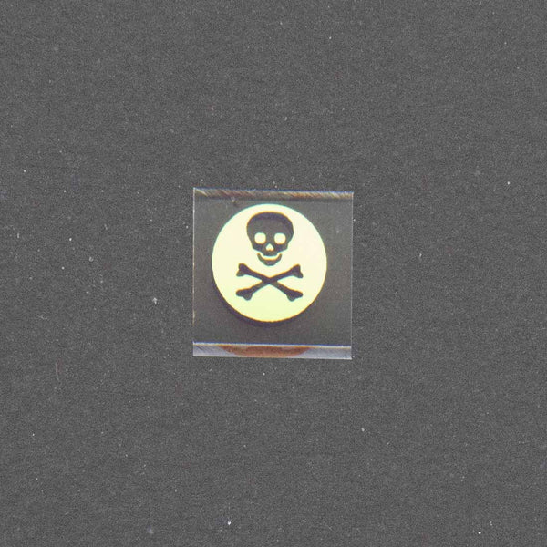 Skull & Crossbones Black Flag Image