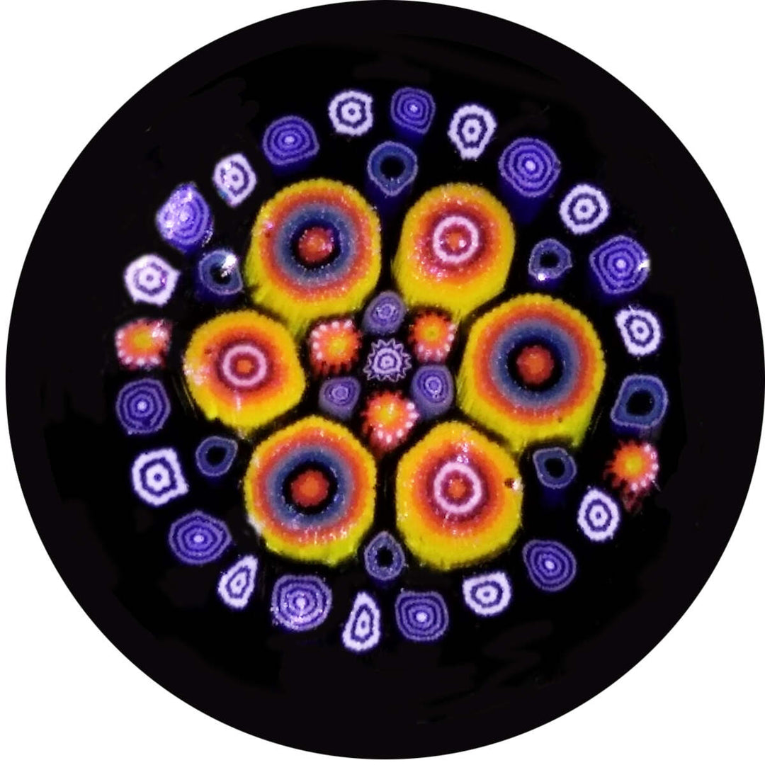 Multi-Color Flower w/ Paisley Milli