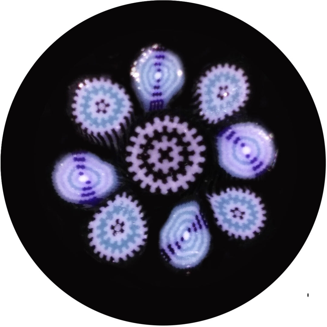 Black, White &amp; Blue Amoeba Milli
