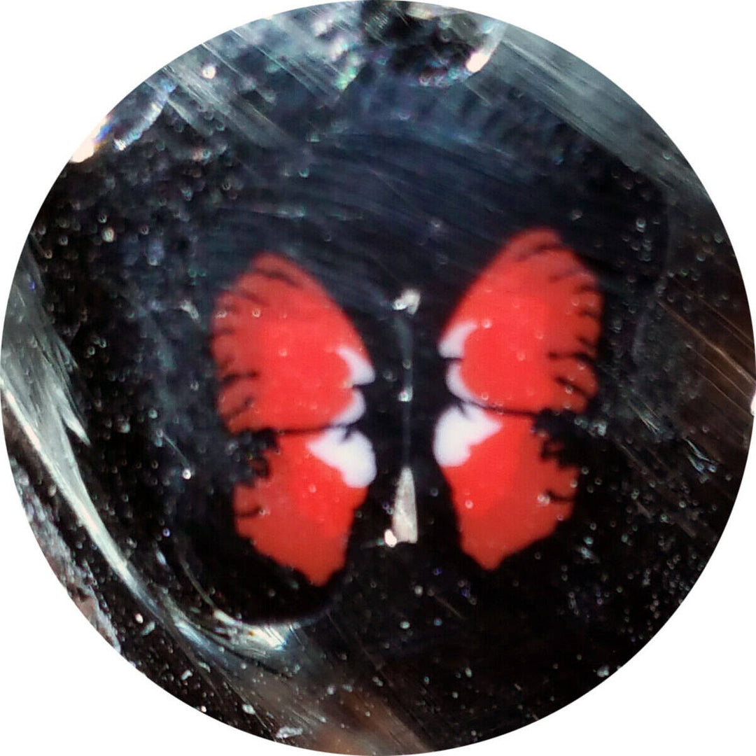 Red Butterfly Milli