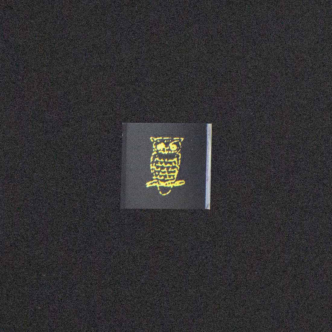 Owl Image