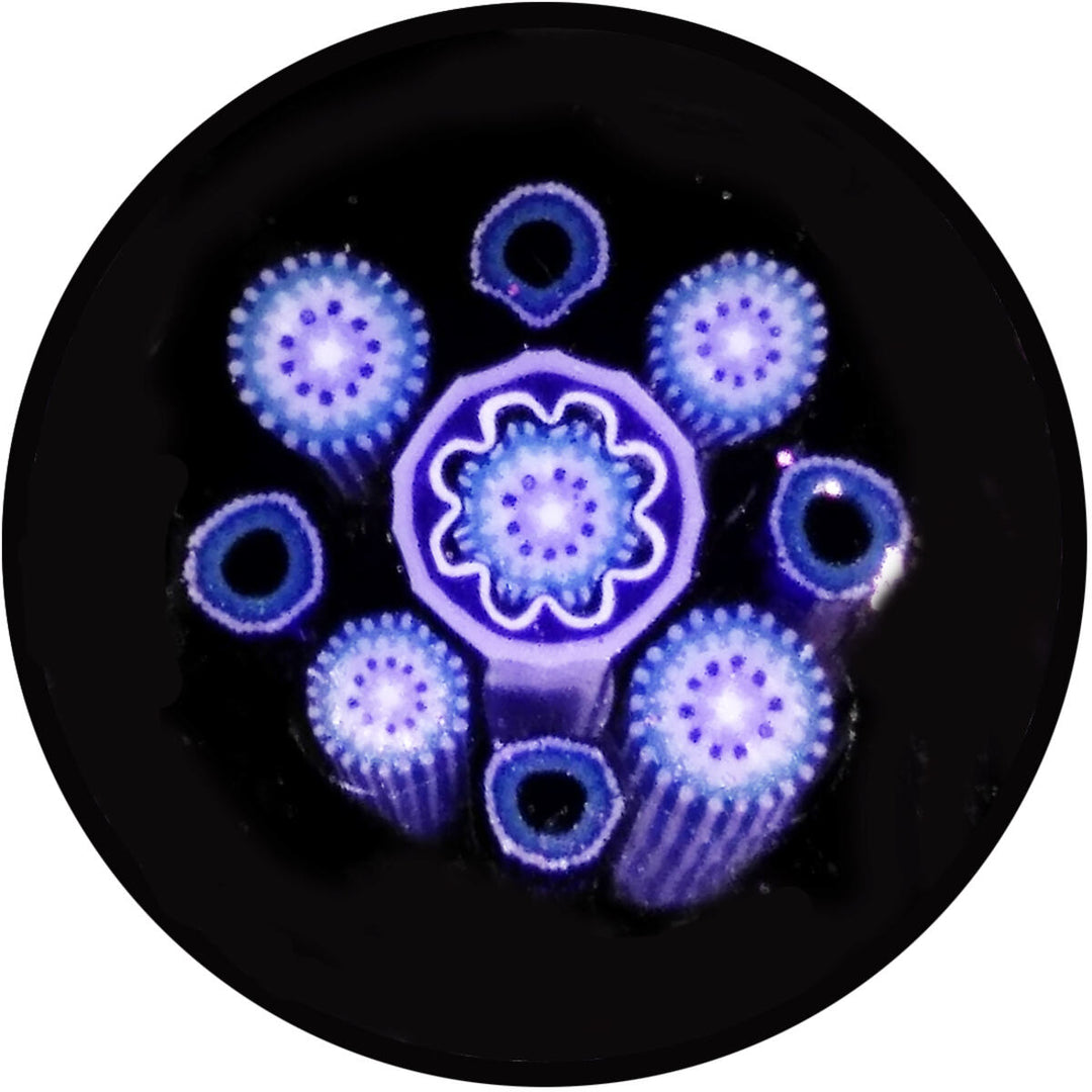 Blue Paisley Milli