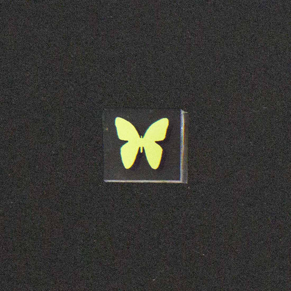 Butterfly Image