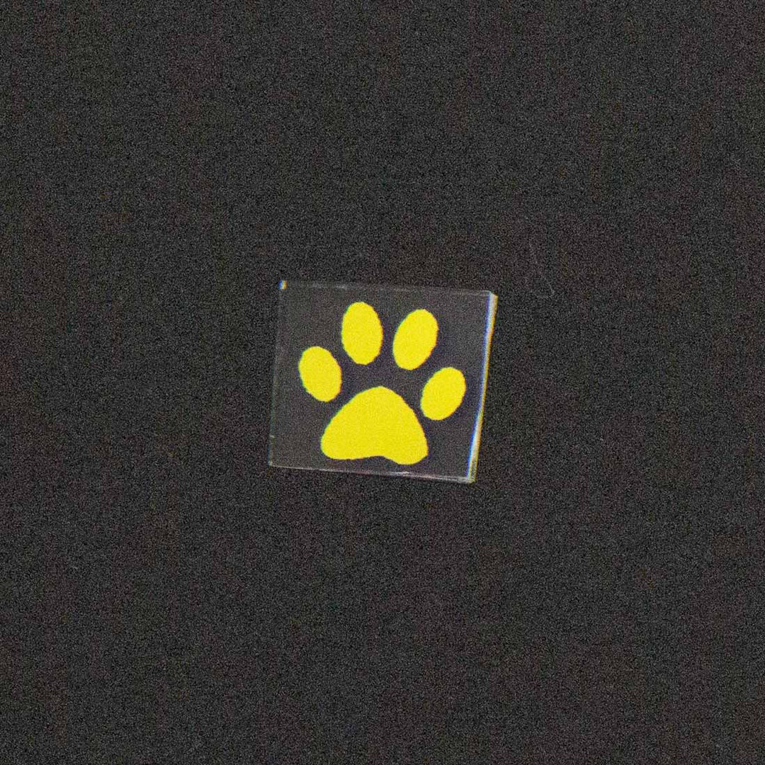 Dog Paw Image