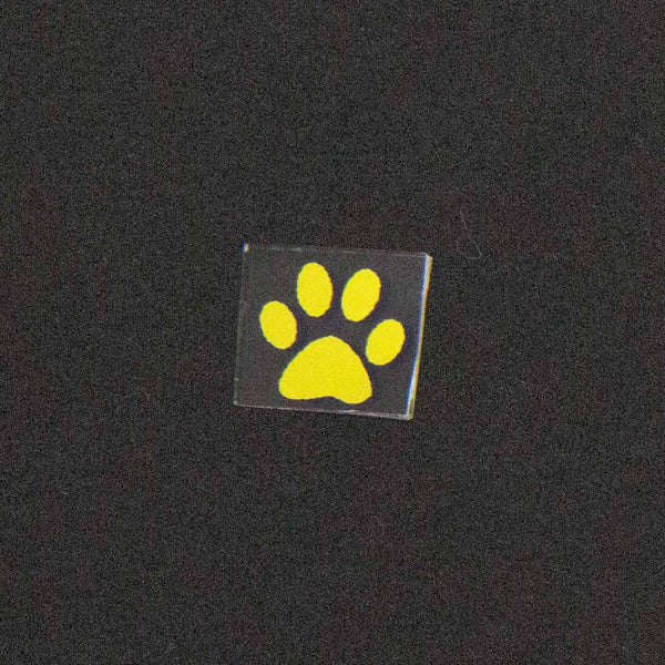 Dog Paw Image