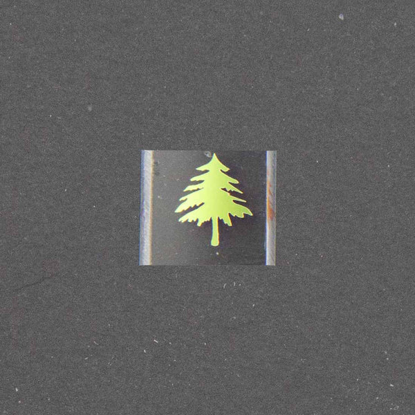 Pine Tree Image (Alternate)