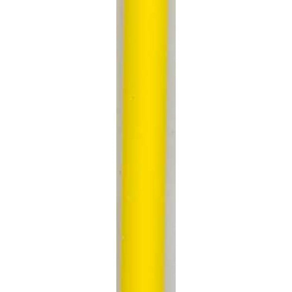 Lauscha Golden Rod