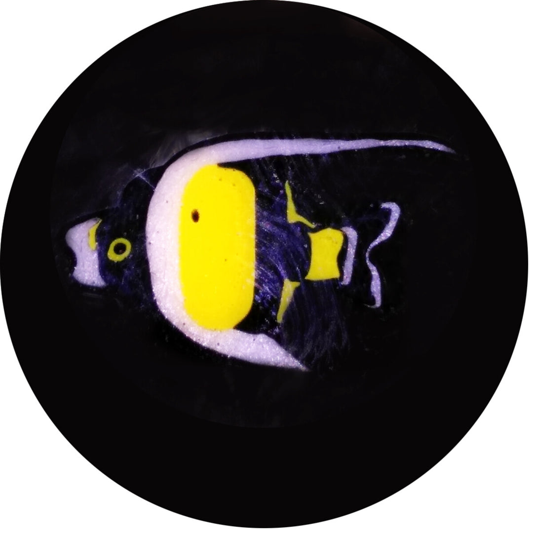 Black &amp; White Fish Milli