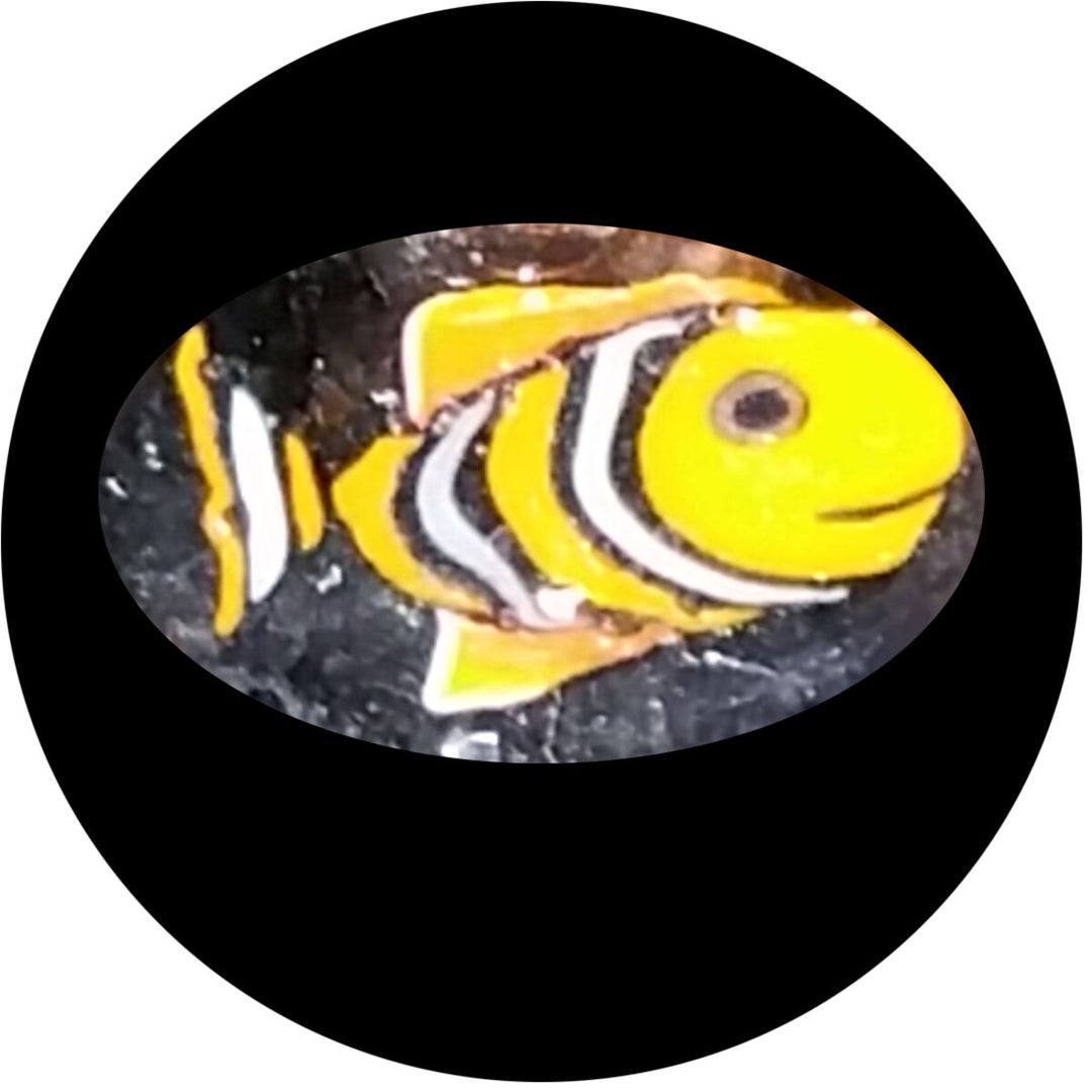 Yellow Striped Fish Milli