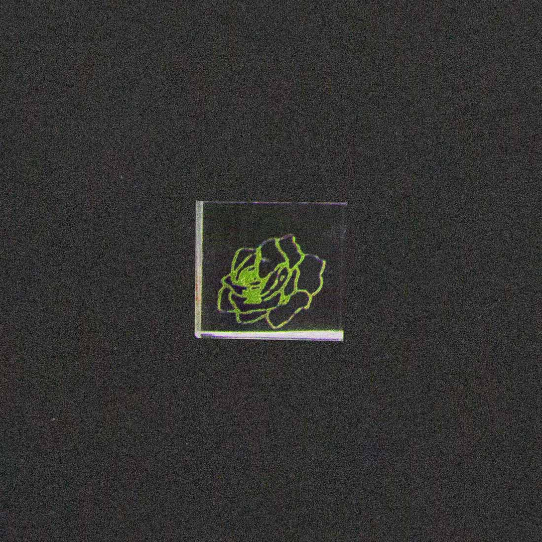 Rose Image