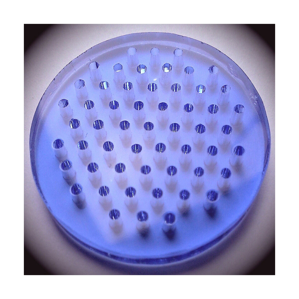 Blue Diffuser Disc (Fits 50mm) – ABR Imagery