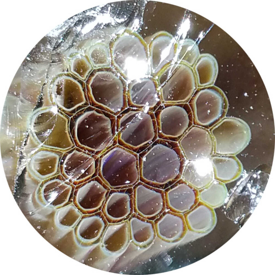 Amber-Purple Honeycomb Milli