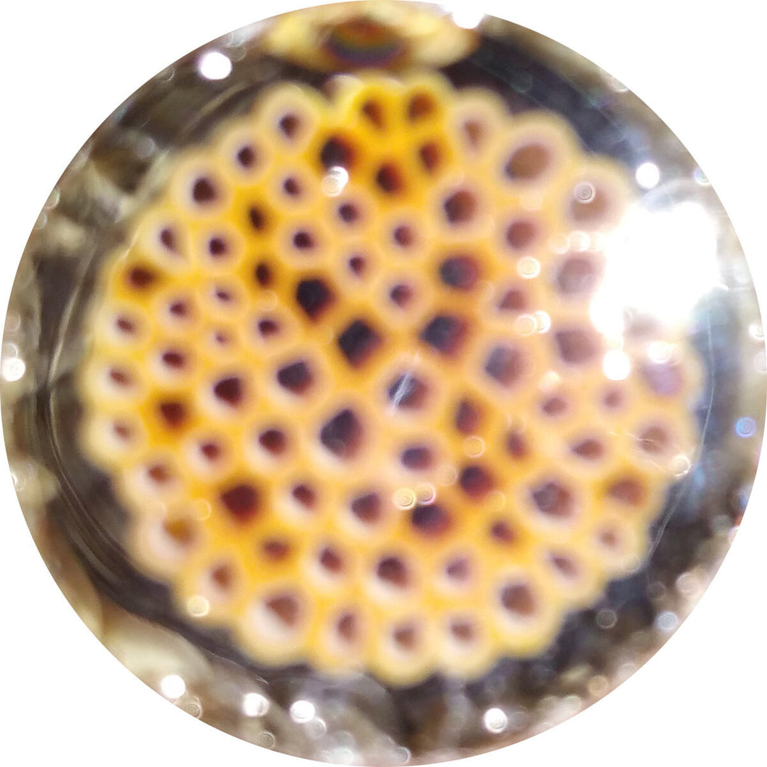 Caramel Honeycomb Milli