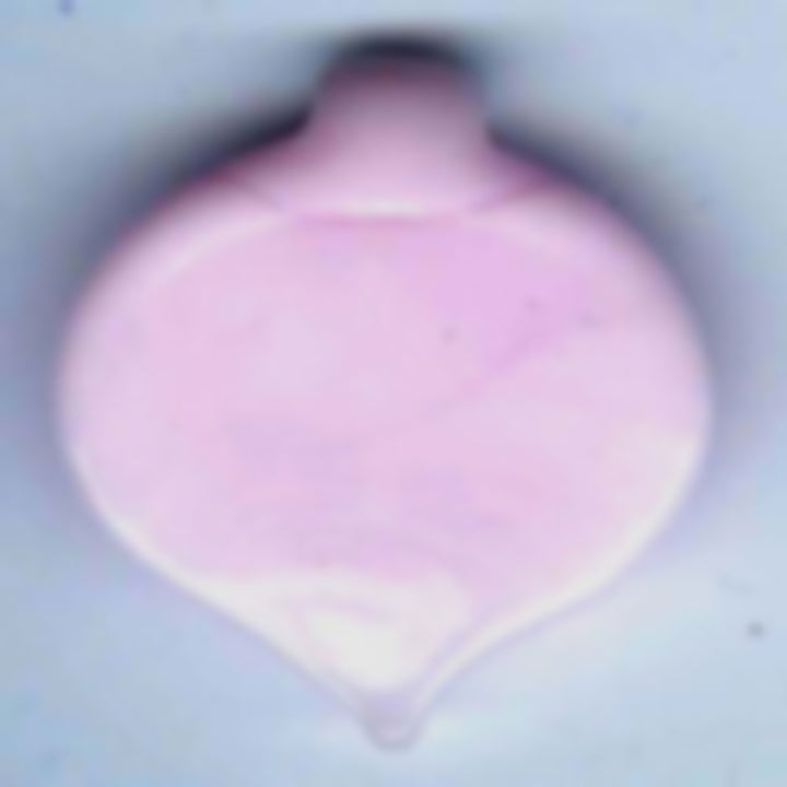 Parramore Pink Rod