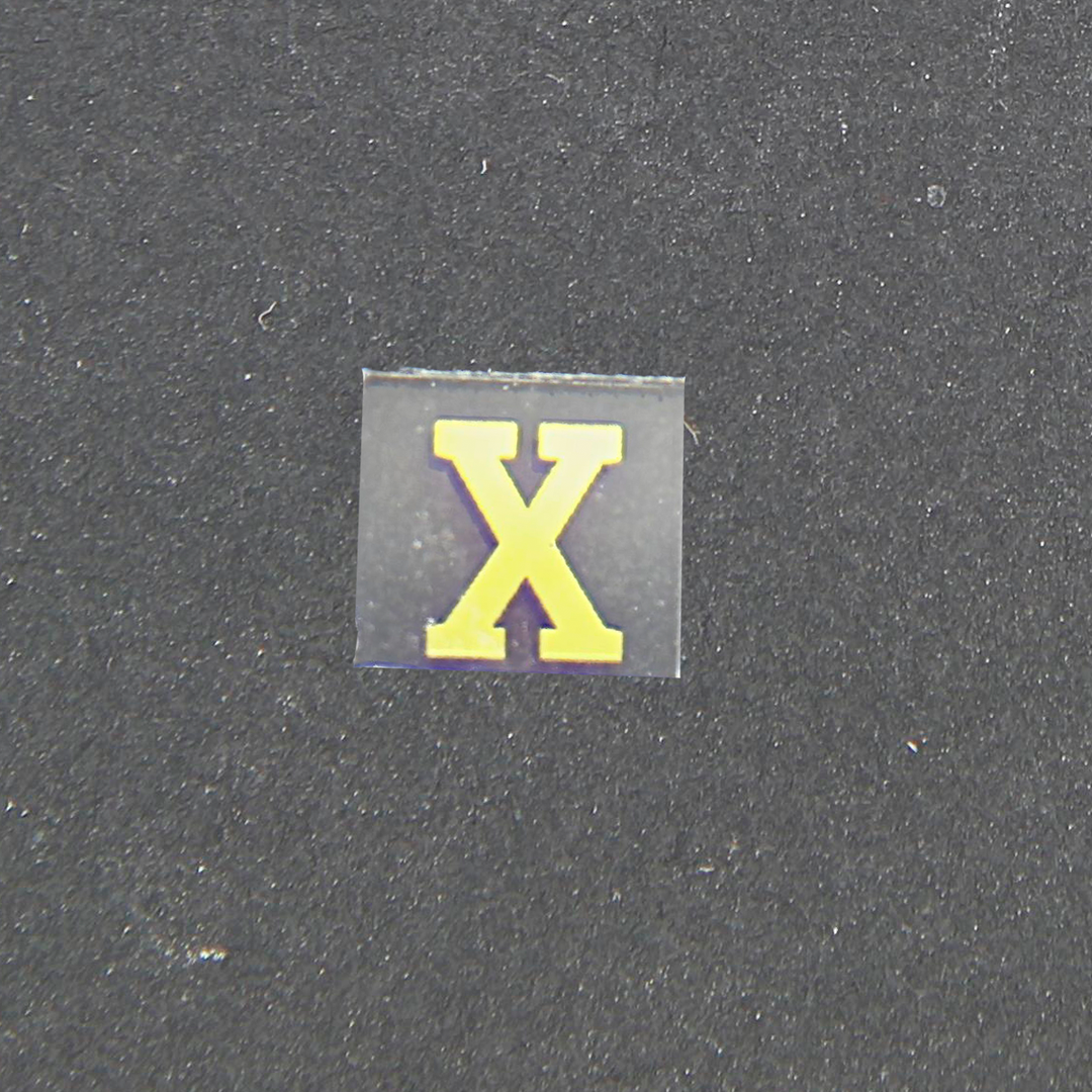 Roman Numeral 10 Image